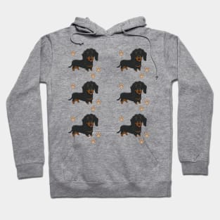 Dachshund dog breed cute pattern Hoodie